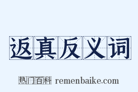 返真反义词是什么意思的图片